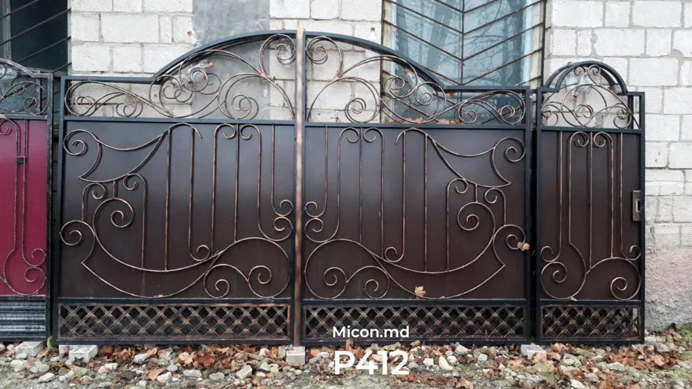 Porți · P412 - de la 15 900 lei