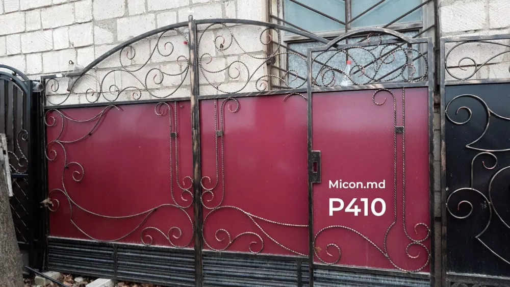 Porți · P410 - de la 11 900 lei