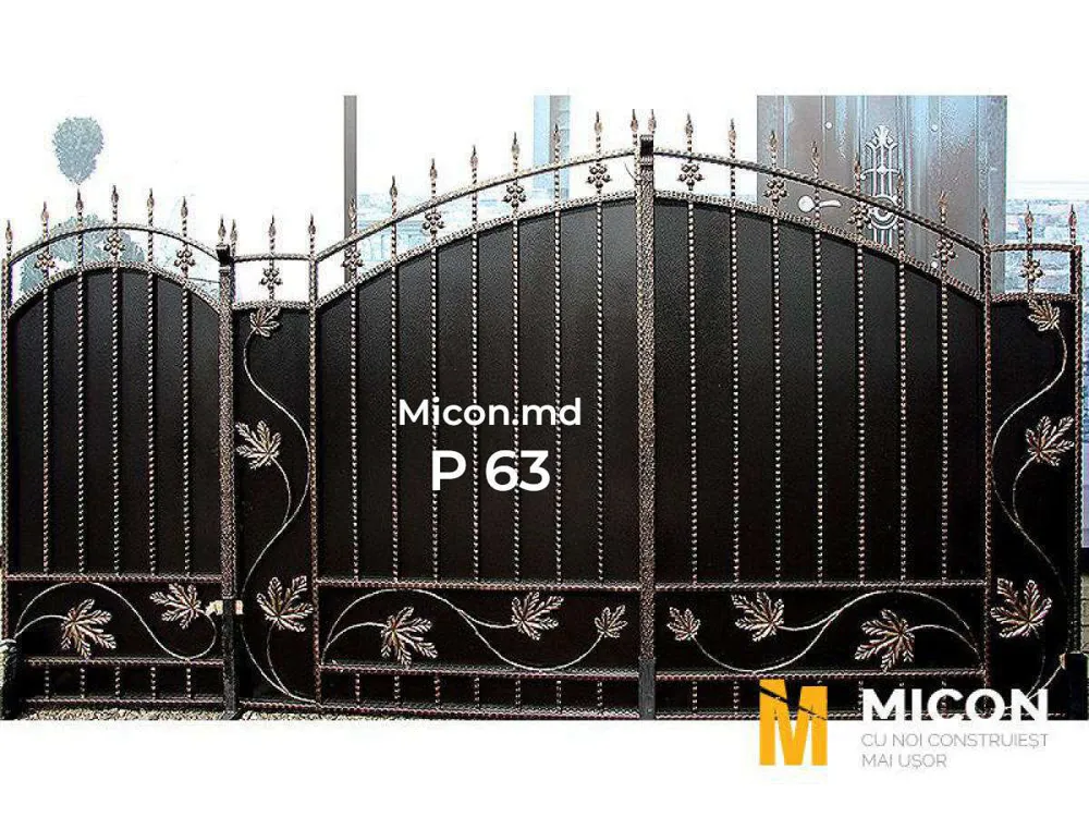 Porți · P63