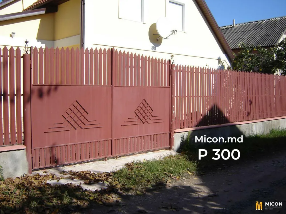 Porți · P300