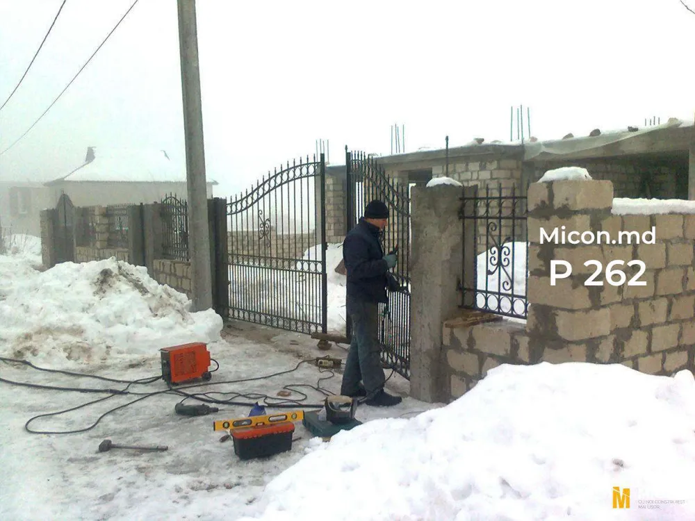 Porți · P262