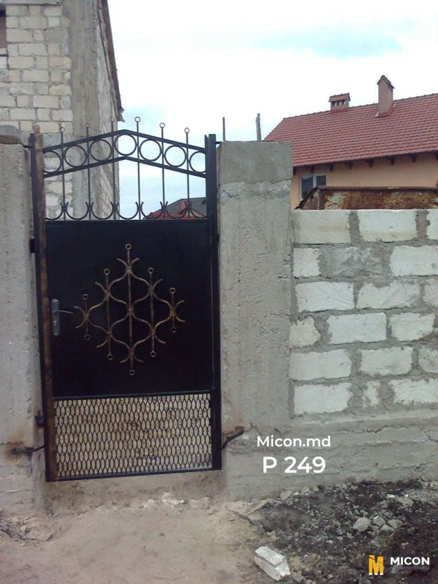 Porți · P249