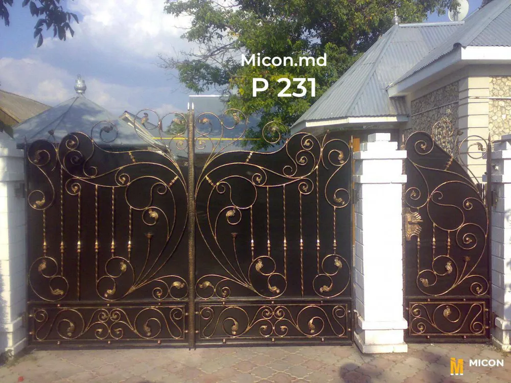 Porți · P231