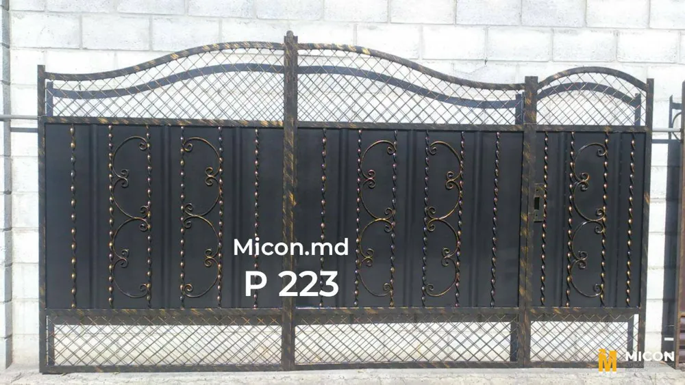 Porți · P223