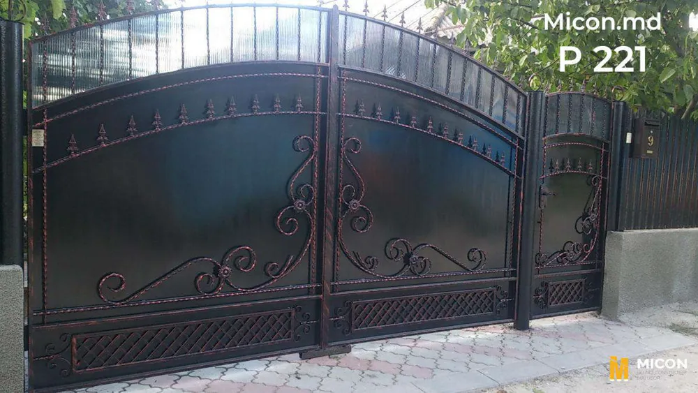 Porți · P221