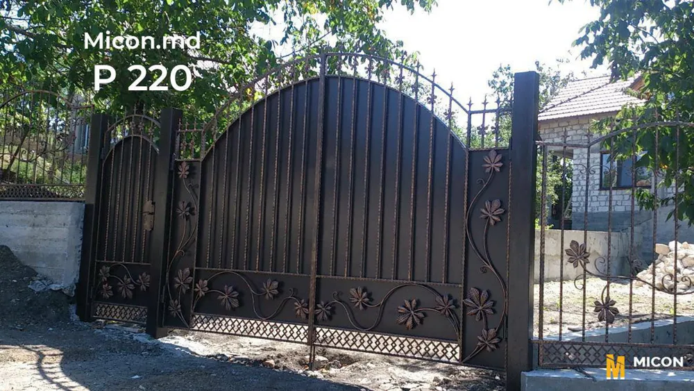 Porți · P220