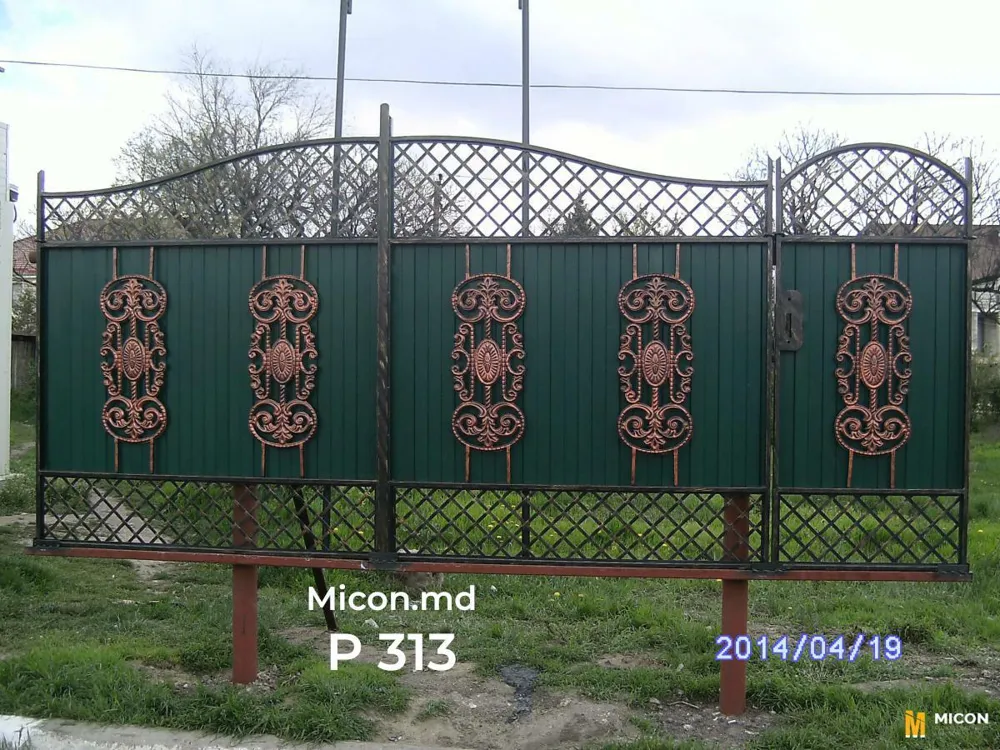 Porți · P313