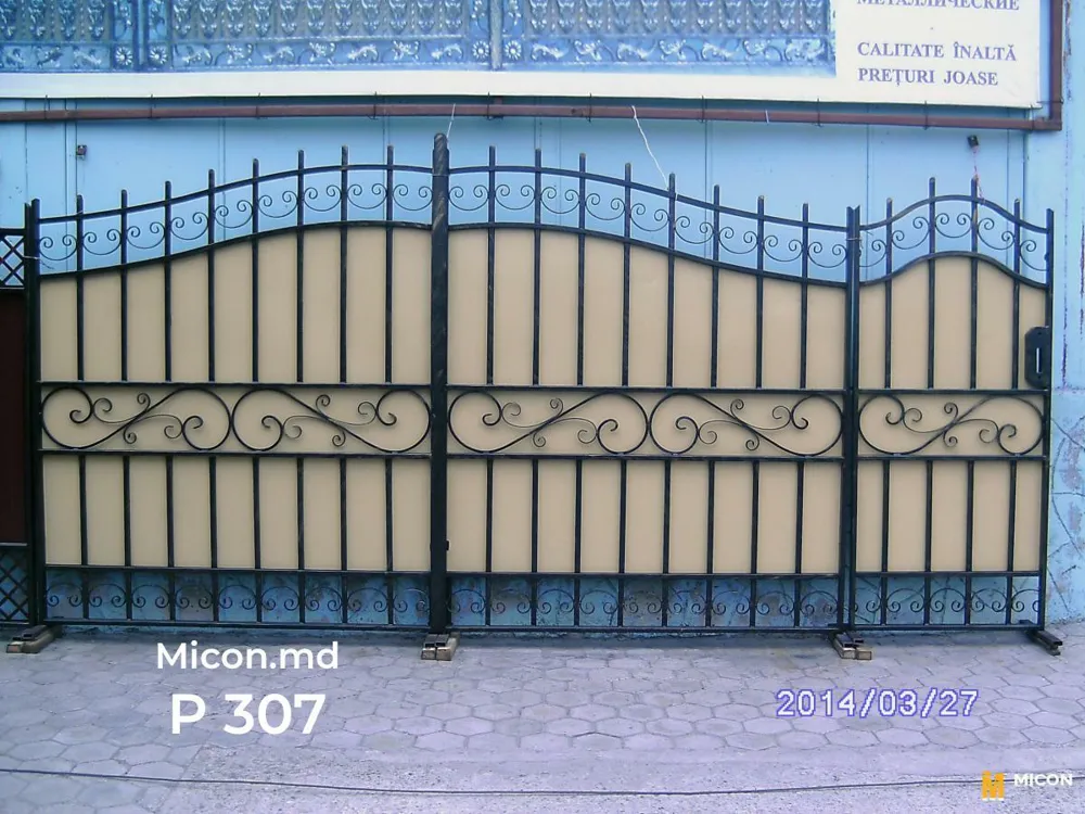 Porți · P307