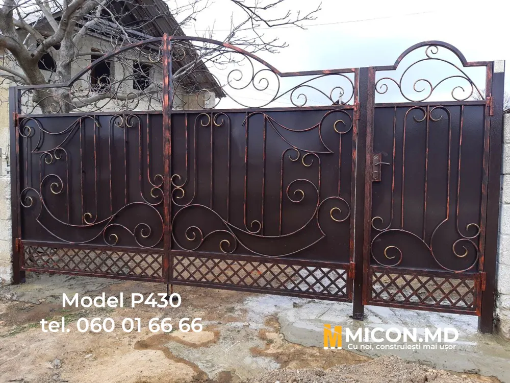 Porți · P430