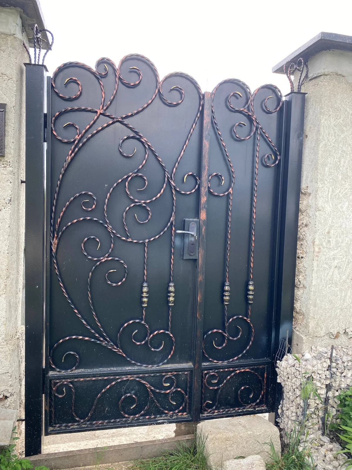 Porți P113