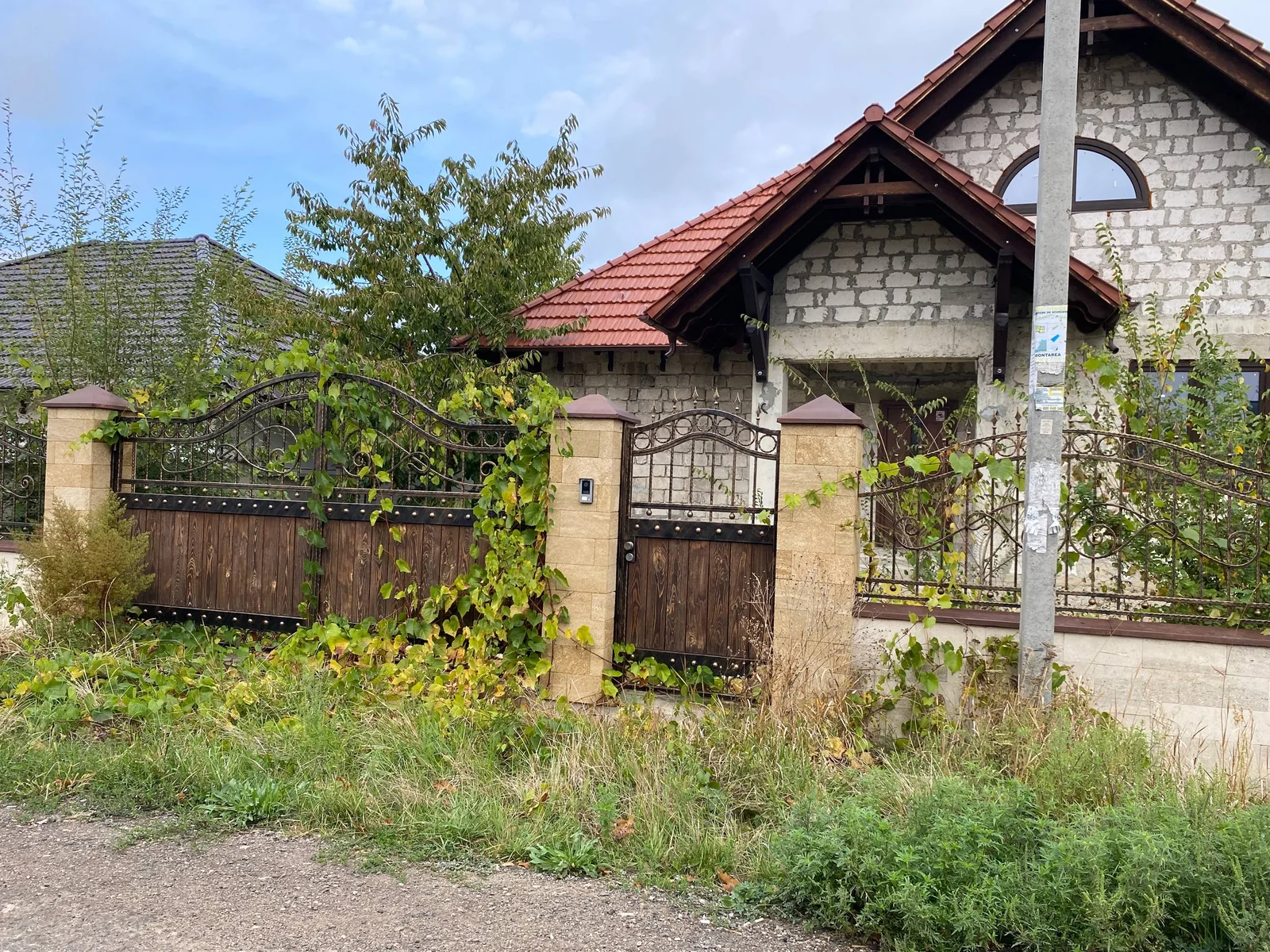 Porți P226